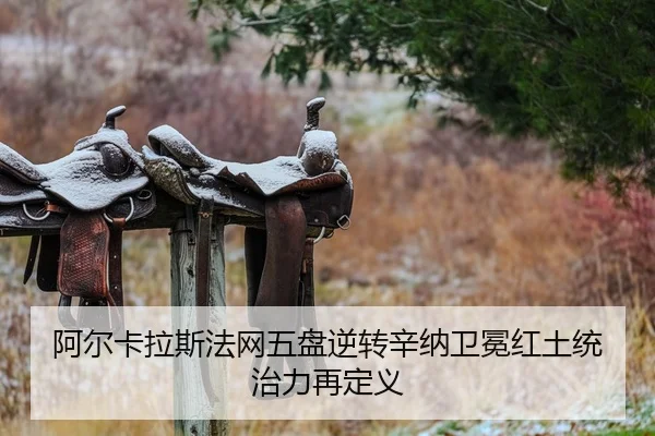 a-er-ka-la-si-fa-wang-wu-pan-ni-zhuan-xin-na-wei-mian-hong-tu-tong-zhi-li-zai-ding-yi-2-601.jpg