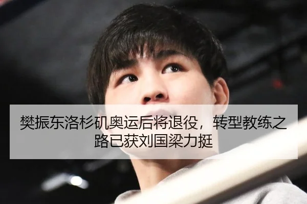 樊振东洛杉矶奥运后将退役，转型教练之路已获刘国梁力挺