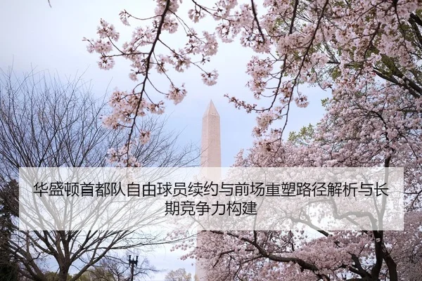 华盛顿首都队自由球员续约与前场重塑路径解析与长期竞争力构建